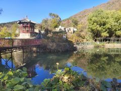 -双新垂钓园