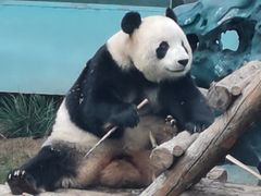 -大连森林动物园