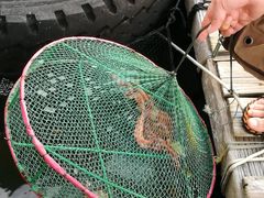 -海上驿站渔家菜馆