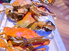 赤甲红-半岛听涛蒸汽海鲜自助(K11店)