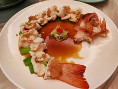 古法蟠龙东星斑-东海朗廷酒店-唐阁T’ANG COURT 中餐厅