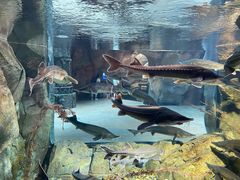 -波塞冬旅游度假区