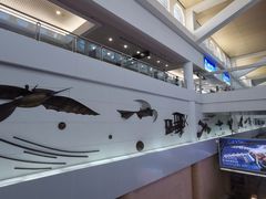 -厦门高崎国际机场-T3航站楼