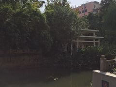 -兰溪青年公园