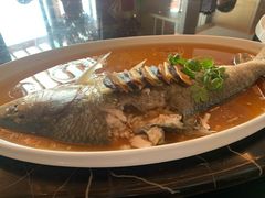 -湖州皇冠假日酒店-彩丰楼中餐厅