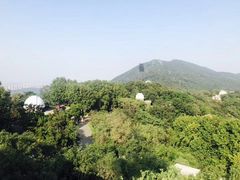 -紫金山天文台
