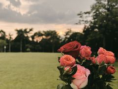 -凤岭儿童公园