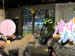 -百好乐宠物友好餐厅(朝外大街店)