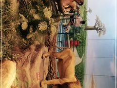 -陕西自然博物馆