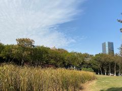 -后襄河公园
