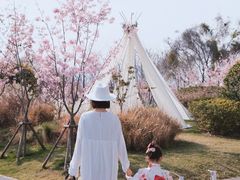 -福建鲤鱼洲酒店