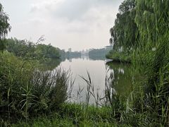 -河北省园博园