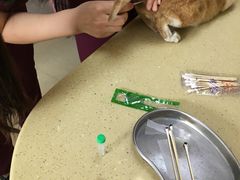 -瑞鹏宠物医院·骨科·猫科·内科(第一中心)