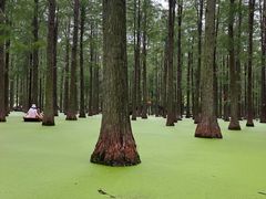-渌洋湖湿地公园