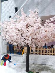 -Mr·Kuma酷么先生雪之乐园