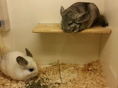 -龙猫仔乐园(惠福东路店)