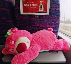 点击看大图 -复旦大学附属妇产科医院(黄浦院区)