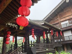 -大唐贡茶院