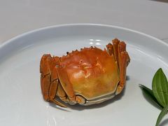 -滋粥楼·顺德菜(番禺广场总店)