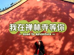 -遵化市禅林寺古银杏风景园