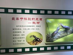 -上海昆虫博物馆