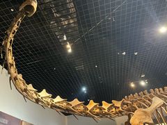 -衢州市博物馆