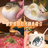  被胖鼓鼓的河豚鱼吸引