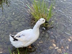 -海淀公园