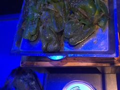 -很久以前羊肉串(打浦路店)