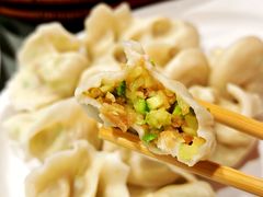西葫芦咯吱盒饺子-听涛雅苑百味饺子老家菜馆
