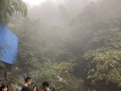 -藏龙百瀑风景区