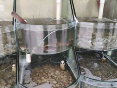 -海岸风情蒸汽海鲜自助餐厅(家宴金手勺店)