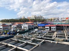 -蓝湾碧波·老字号·疍家非遗海上餐厅