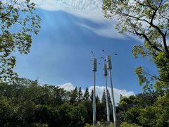 -上海吴淞炮台湾国家湿地公园