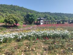 -龙寺生态园