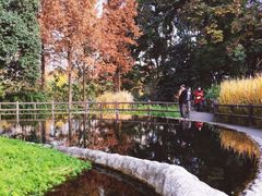 -成都市活水公园