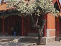 -故宫博物院(故宫)