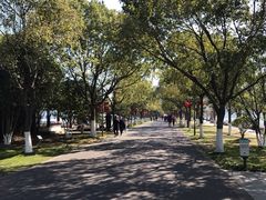 -东钱湖小普陀景区