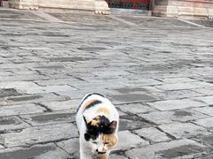 -故宫钟表馆