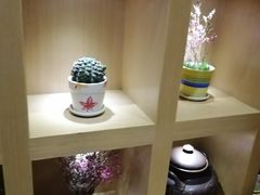 -小糖朝(恒信店)