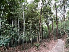 -上海佘山国家森林公园天马山园