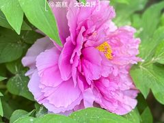 -太阳宫公园