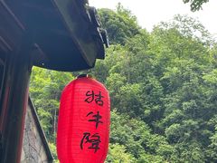 -石台牯牛降景区