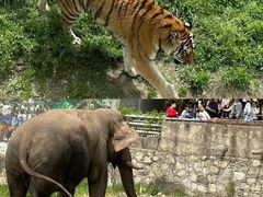 -西安秦岭野生动物园