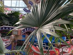 -南宫五洲植物乐园