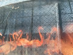 -鄂尔多斯野生动物园