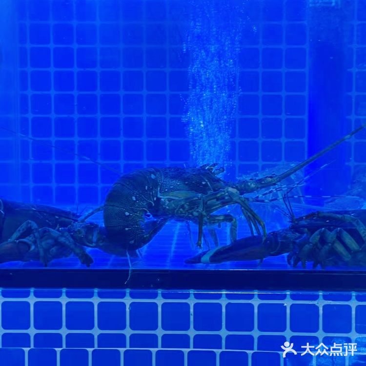 二月二，终于吃到横琴NO.1的海鲜餐！