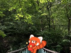 -本溪汤沟绿石谷森林公园