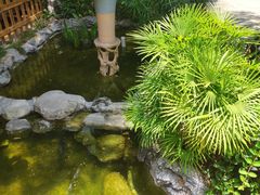 -聚缘·湘味音乐餐厅party(罗湖店)