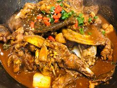生态甲鱼-火焰金龟甲(汉阳江滩旗舰店)